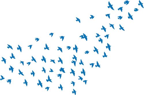 Blaue Vögel