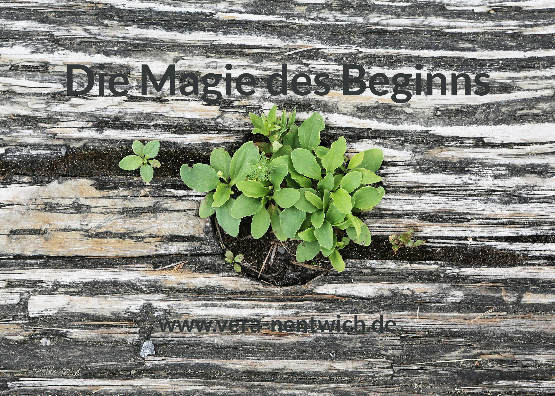Die Magie des Beginns